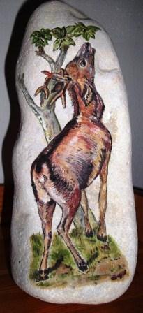 Cerf sur pierre
