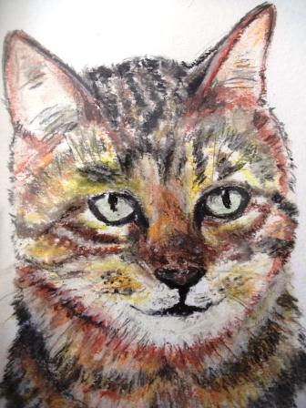 Chat européen réalisé à la pastel à l`huile sur papier dessin